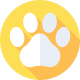 footprint footprint